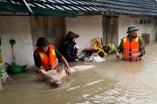 Nhiều tỉnh Miền Bắc thiệt hại do mưa lũ