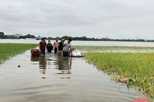 Huyện Thiệu Hóa: Chủ động khắc phục hậu quả sau mưa lớn