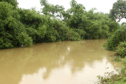 Đợt mưa lớn gây thiệt hại tại nhiều địa phương