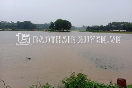 Thái Nguyên: Mưa lớn tiếp tục gây thiệt hại ở nhiều địa phương