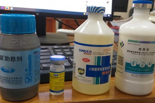 Vắc xin thú y nhập lậu tràn lan, Bộ NN&PTNT đề nghị xử lý nghiêm