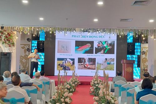 Hà Nội có 39 mô hình chăn nuôi ứng dụng công nghệ cao