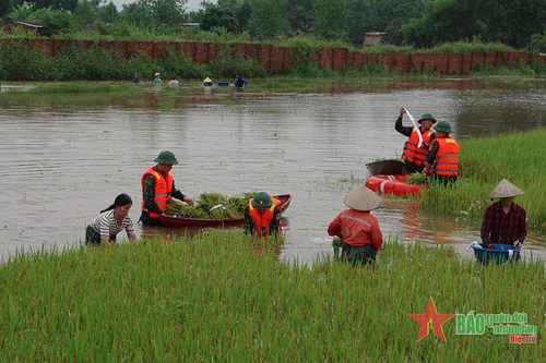 Thắm tình bộ đội Lữ đoàn Công binh 249