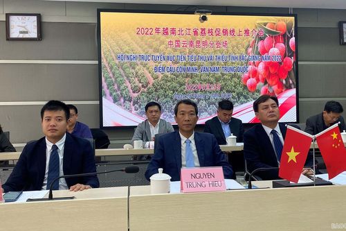 Chung tay xúc tiến tiêu thụ vải thiều Bắc Giang tại thị trường Tây Nam Trung Quốc
