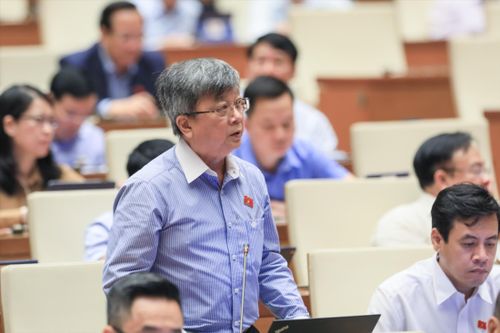 Thiệt hại lớn nếu 'một rừng luật' chất lượng kém