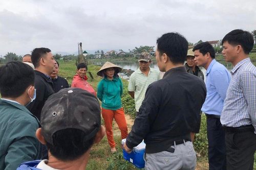 Tìm ra nguyên nhân hiện tượng cá chết trên sông Bồ