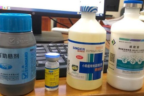 Xử lý nghiêm việc vận chuyển thuốc, vaccine thú y nhập lậu