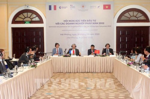 Hải Phòng xúc tiến đầu tư với các doanh nghiệp Pháp