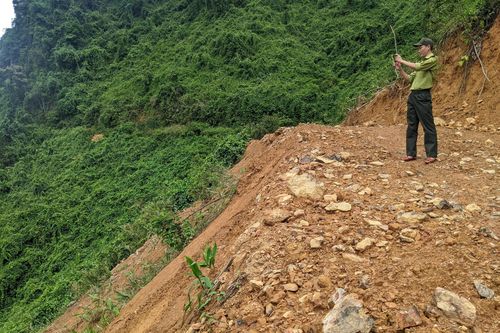 Cao tốc La Sơn - Túy Loan thông tuyến: Tuần tra bảo vệ rừng gặp khó?