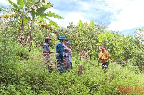 Đắk Nông thu hồi hơn 450ha để làm đường cao tốc