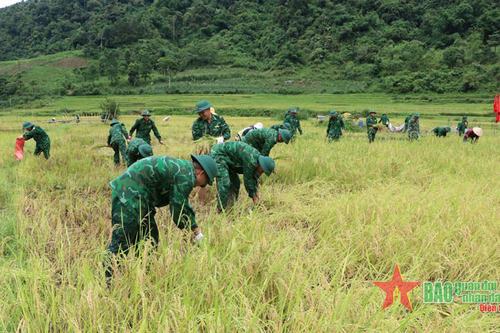 Sẵn sàng lực lượng, phương tiện ứng phó và khắc phục hậu quả thiên tai