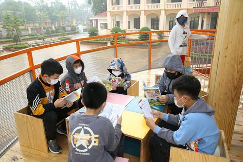 Sức hút từ mô hình độc đáo 'thư viện sách trên cây'