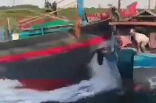 2 tàu cá tông trực diện, 6 người rơi xuống biển