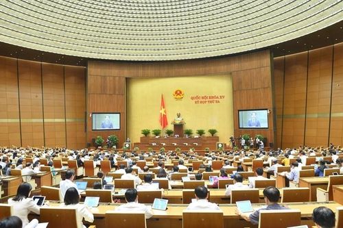 Kết luận thanh tra là căn cứ để ra các quyết định xử lý vi phạm