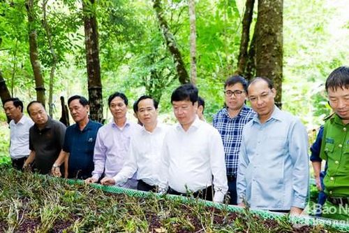 Chủ tịch UBND tỉnh Nguyễn Đức Trung kiểm tra các dự án đầu tư tại huyện Kỳ Sơn