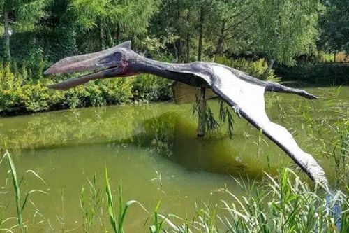 Phát hiện dấu vết 'rồng tử thần' sống cách đây 86 triệu năm ở Argentina