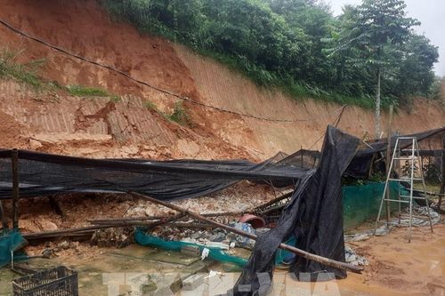 Chủ động ứng phó lũ quét và sạt lở đất tại Yên Bái