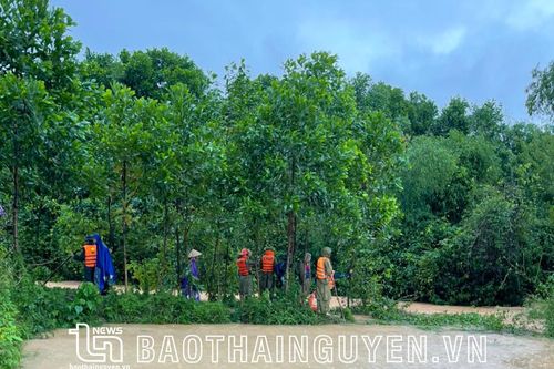 Tìm thấy thi thể cháu bé bị mất tích tại Phổ Yên