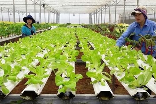'Đặt tên mới' cho Luật Hợp tác xã
