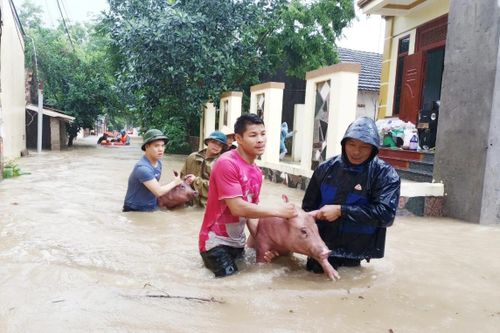 Tam Đảo ghi nhận lượng mưa kỷ lục trong vòng 60 năm