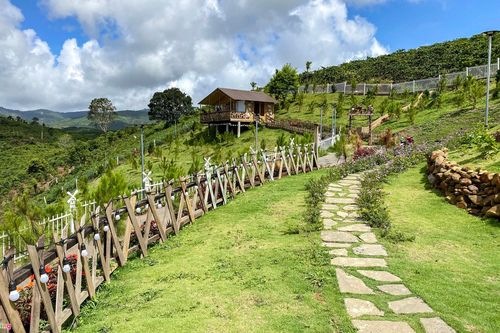 Buộc tháo dỡ nhà trái phép tại khu đất Ngọc Trinh nói mua ở Bảo Lộc