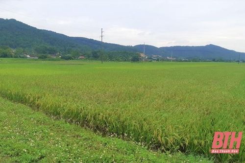 Đồng thuận trong GPMB vì sự phát triển kinh tế - xã hội của địa phương