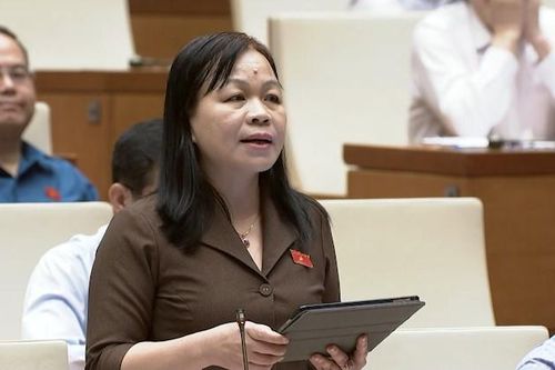 ĐBQH Nguyễn Thị Mai Hoa (Đồng Tháp): Bổ sung thêm các đối tượng trong lĩnh vực nghệ thuậtĐBQH Nguyễn Thị Mai Hoa (Đồng Tháp): Bổ sung thêm các đối tượng trong lĩnh vực nghệ thuật