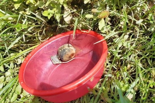 Mò hến trên sông, nam sinh mò trúng quả lựu đạn còn nguyên chốt