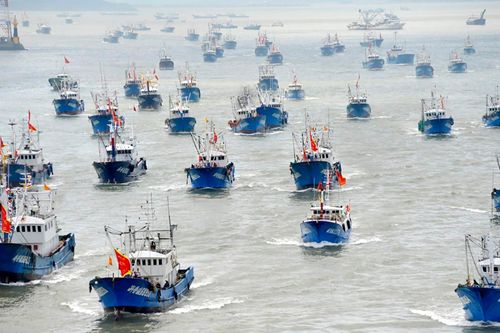 Đội tàu cá Trung Quốc 'vơ vét' khắp thế giới