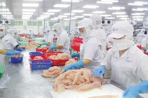 Nam Phi - Cửa ngõ quan trọng để thủy, hải sản Việt Nam vào thị trường khu vực