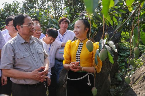 Thủ tướng: 'Đưa cây ăn quả lên sườn dốc' thay đổi tư duy quan trọng