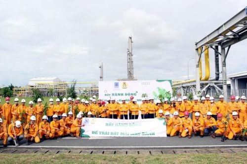 Công ty Khí Cà Mau phát động phong trào 'Trồng cây trên công trình khí'