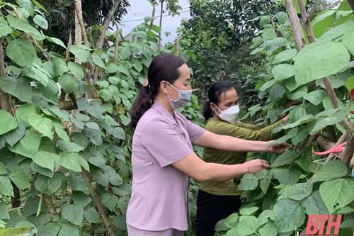 Chuyển biến tích cực trong học tập và làm theo Bác ở Đảng bộ huyện Thạch Thành