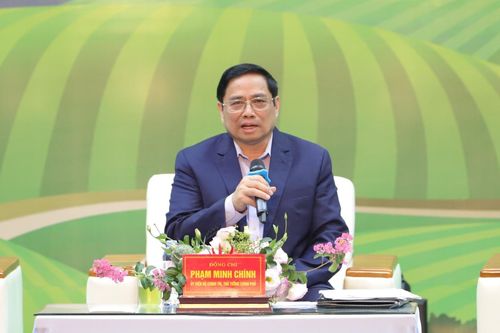 Nông dân chủ động xây dựng thương hiệu thay vì phụ thuộc vào chính sách bảo hộ