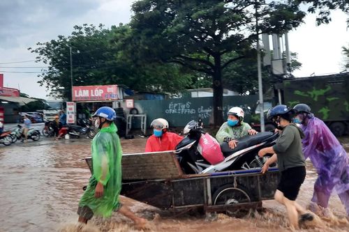 Mưa lớn, xe kéo 'cứu' phương tiện qua điểm ngập sâu, cây đổ đè taxi
