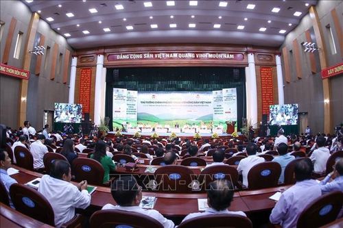 Mở rộng tín dụng chính thức để đẩy lùi tín dụng đen