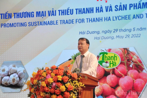 Bộ Công Thương đẩy mạnh hỗ trợ Hải Dương xúc tiến tiêu thụ vải thiều