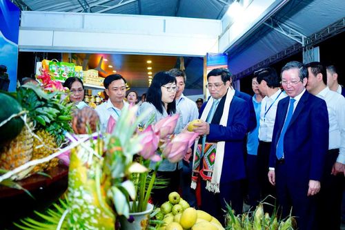 Cùng đi tìm lời giải 'làm sao để nông dân ta giàu?'