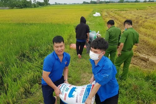 Thanh niên xuống đồng, chỉnh trang đô thị hưởng ứng chiến dịch tình nguyện Hè