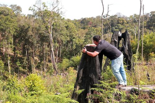 Yêu cầu làm rõ trách nhiệm của Bí thư, Chủ tịch huyện Kon Plông