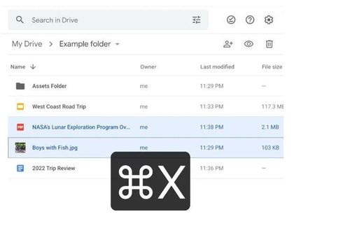 Google Drive hỗ trợ phím tắt để sao chép và dán tập tin