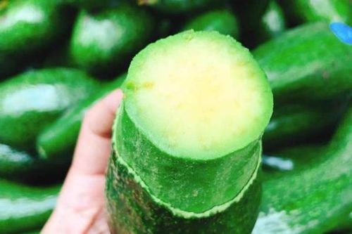 TP Hồ Chí Minh: Đặc sản bơ 034 có giá thấp kỷ lục, chỉ 25.000 đồng/kg
