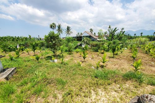 Khốn khổ vì mua nhầm đất tranh chấp