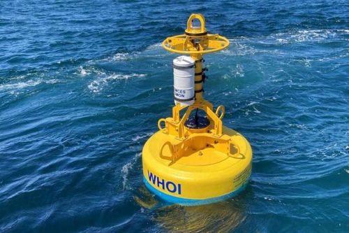 Phao robot bảo vệ cá voi