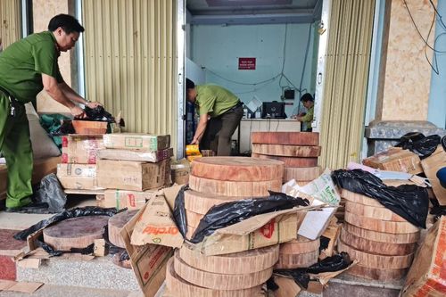 Hà Giang: Lợi dụng dịch vụ bưu chính để buôn gỗ nghiến
