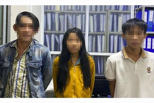 Bắt nhanh nhóm đối tượng thực hiện 7 vụ trộm cắp trong 6 tháng