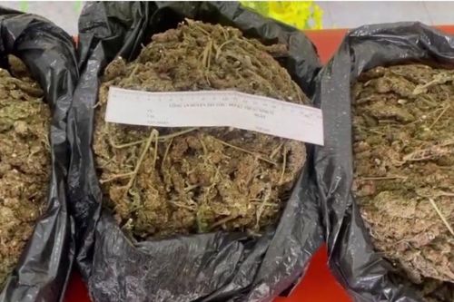 Bắt giữ đối tượng vận chuyển 5kg thảo dược qua biên giới, nghi cần sa