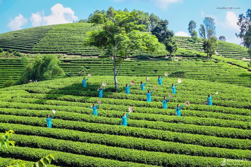 Hấp dẫn cảnh sắc Anh Sơn