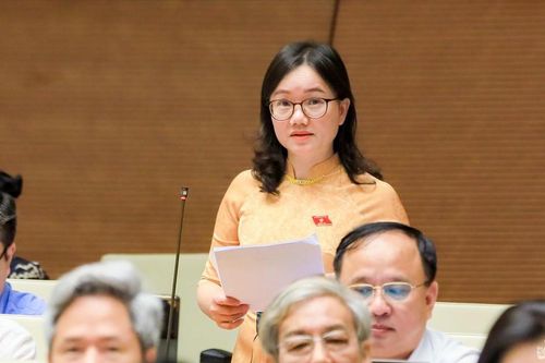 Đại biểu Quốc hội Đoàn Nghệ An nêu ý kiến nhằm bảo vệ quyền, lợi ích của chủ thể sở hữu trí tuệ
