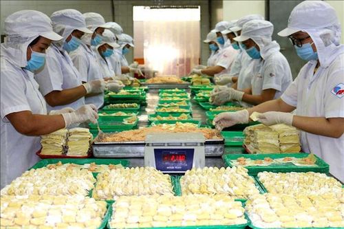 Cùng công nhân thích ứng với tình hình mới - Bài 1: Thị trường việc làm nhiều biến động